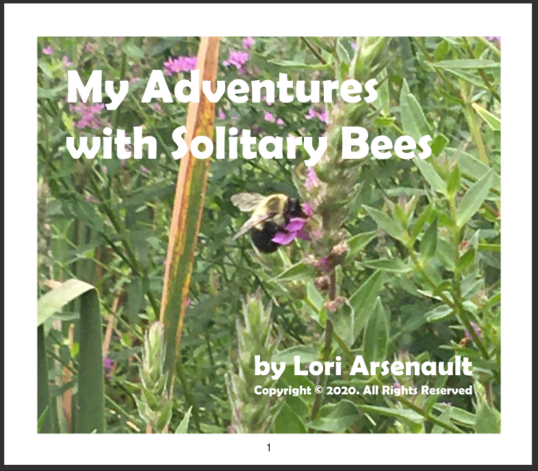 My Adventures with Solitary Bees, cover of a book.